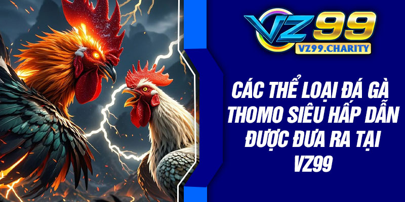 Các thể loại đá gà thomo siêu hấp dẫn được đưa ra tại VZ99