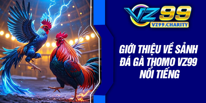 Giới thiệu về sảnh đá gà thomo VZ99 nổi tiếng