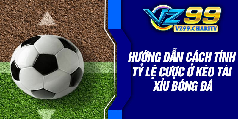 Hướng dẫn cách tính tỷ lệ cược ở kèo tài xỉu bóng đá