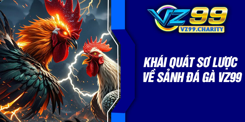 Khái quát sơ lược về sảnh đá gà VZ99