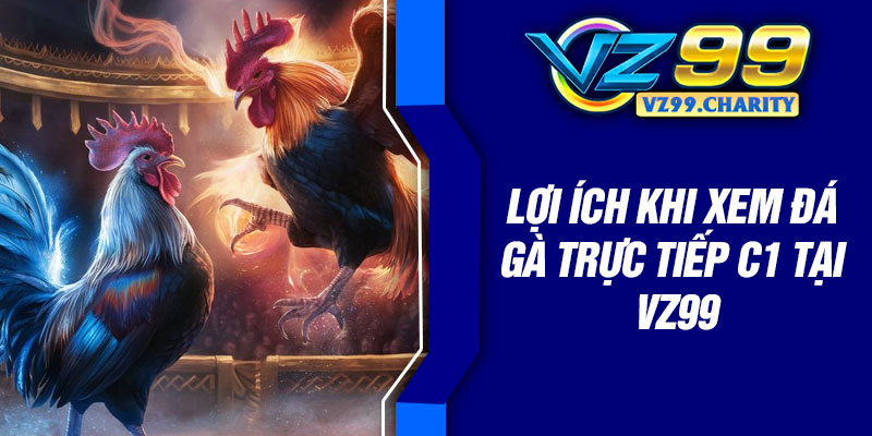 Lợi ích khi xem đá gà trực tiếp C1 Tại VZ99
