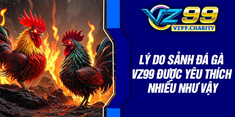 Lý do sảnh đá gà VZ99 được yêu thích nhiều như vậy