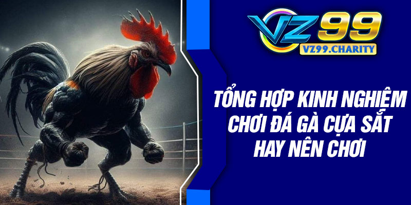 Tổng hợp kinh nghiệm chơi đá gà cựa sắt hay nên chơi