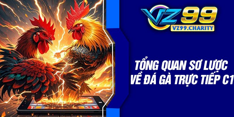 Tổng quan sơ lược về đá gà trực tiếp C1